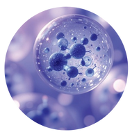 ENZYMES