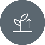 Connect and grow